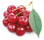Újfehértói sour cherry pálinka 0,04 l